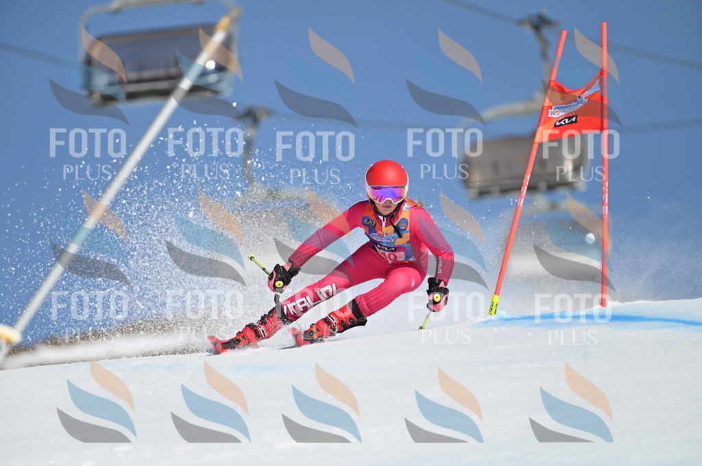 BGV_8345 | holidayphoto