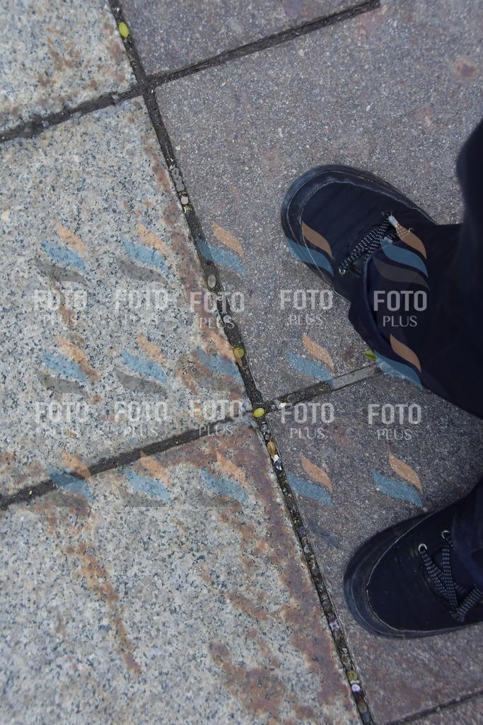 _DSC1816 | holidayphoto