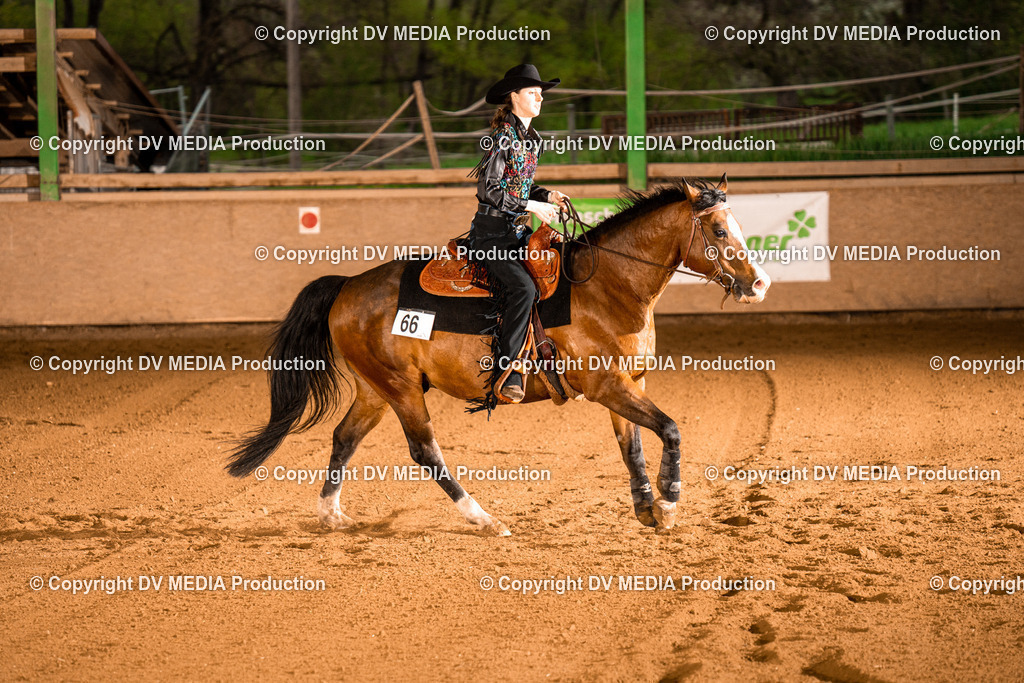 BAL01090 | dv-media-shop - Realisiert mit Pictrs.com