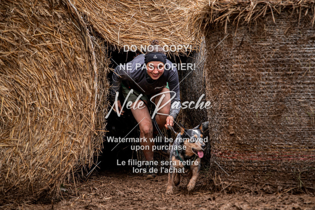 nelerasche_Hunsrück_So09-11_82 | nelerasche