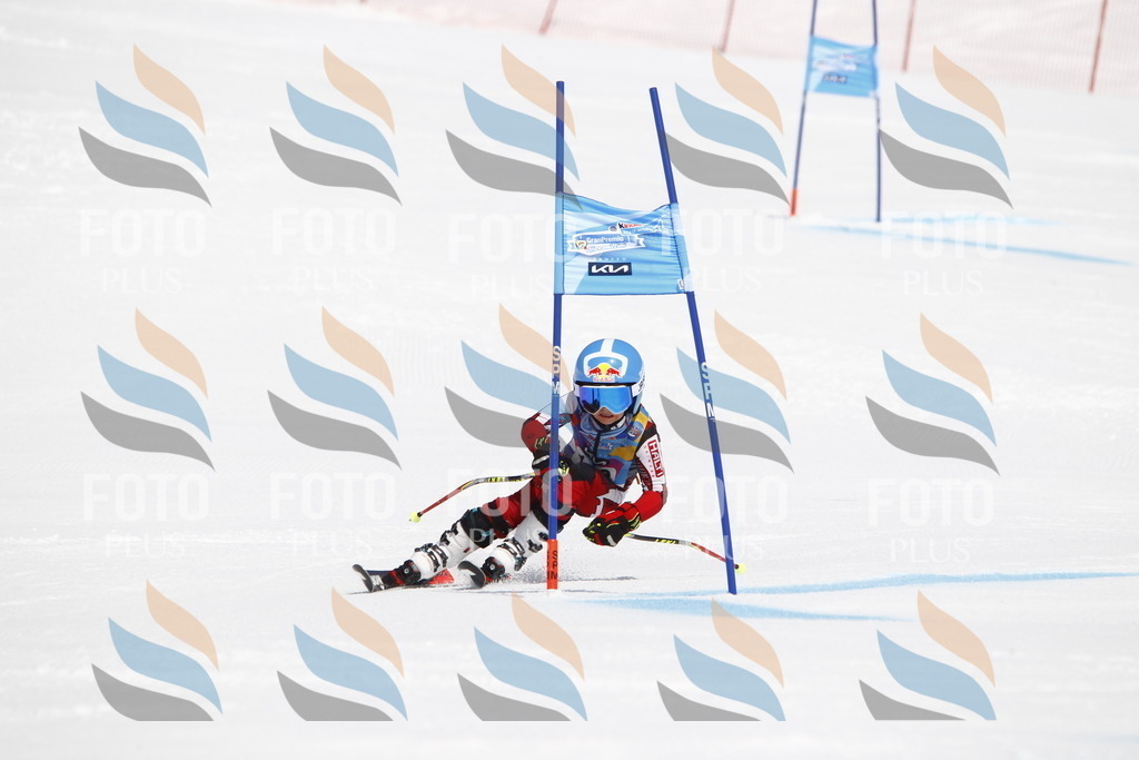 _U3G4949 | holidayphoto