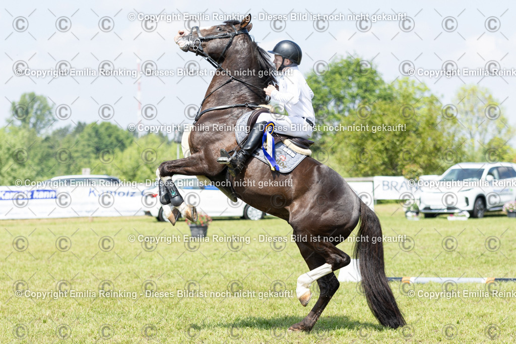 CL5A3840 | Emilia Reinking Fotografie - Realisiert mit Pictrs.com