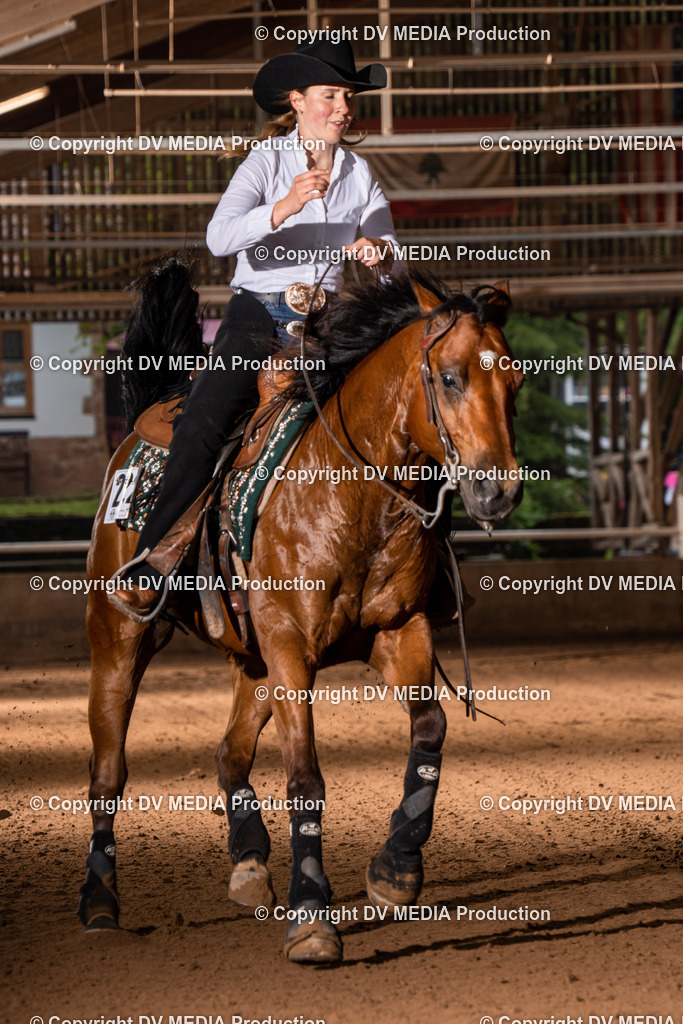 Erbach Tag 2-1050 | dv-media-shop - Realisiert mit Pictrs.com