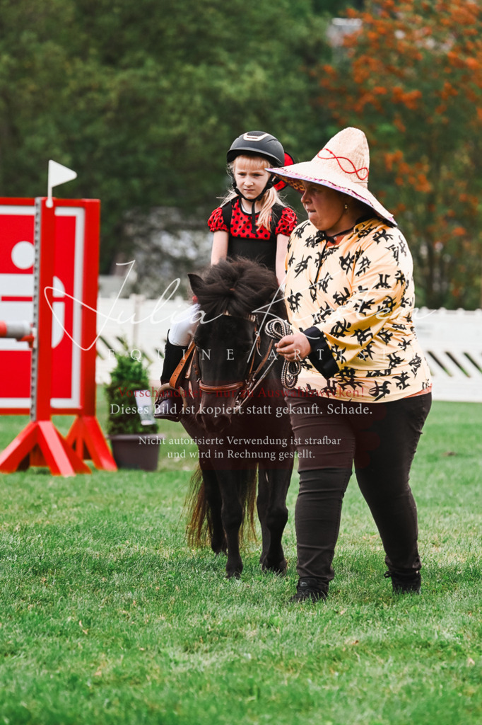 DSC_7537 | Pferde- und Turnierfotografie in Westsachsen. Pferdeportraits, Auftragszeichnungen und intuitive Kunst.
