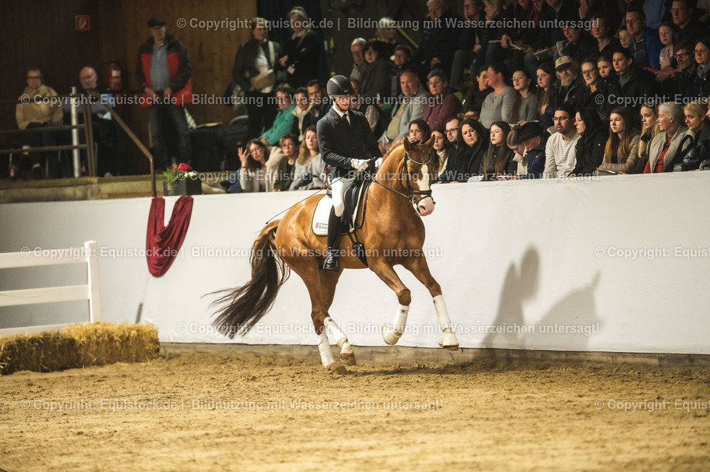 20240302_Hengstvorstellung_Marbach_TOMsPiC_0551 | equistock
