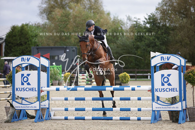 1J2A2399Henry Delfs_ Chapman D_ Kn201_ Havekost | Foto- und Videografie für alles rund ums Pferd. Hochwertige Bilder und Videos vom Spring- und Dressurreiten, Voltigieren & mehr. Jetzt aktuelle Veranstaltungen und Preise im Shop ansehen. - Realisiert mit Pictrs.com