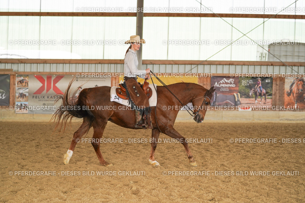 DSC01333 | Pferdegrafie