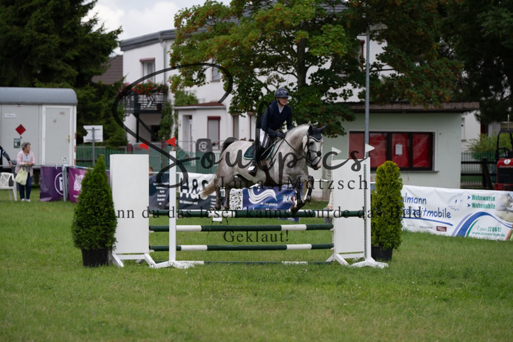 A7V04017 | Pferdefotograf