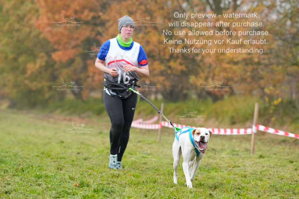 Visbeck_Sa_CC-154 | stephaniefillaphotographie - Realisiert mit Pictrs.com