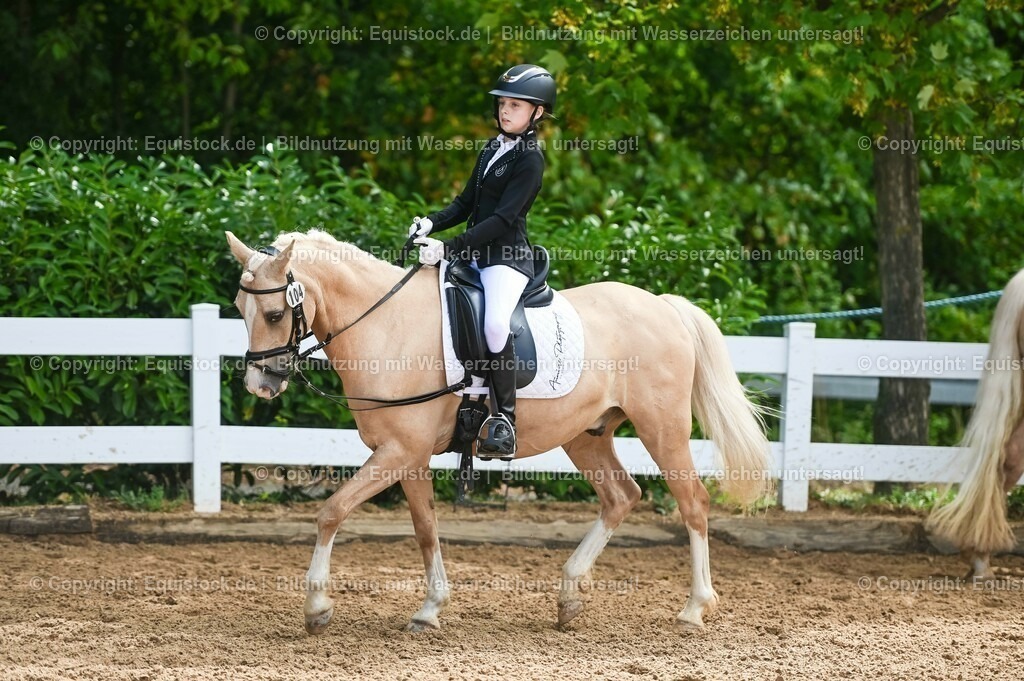 20230716_10-3_Reiter-WB Schritt - Trab - Galopp_0109 | equistock