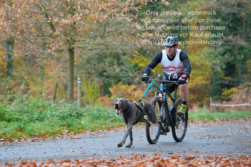 Bike_So-228 | stephaniefillaphotographie - Realisiert mit Pictrs.com