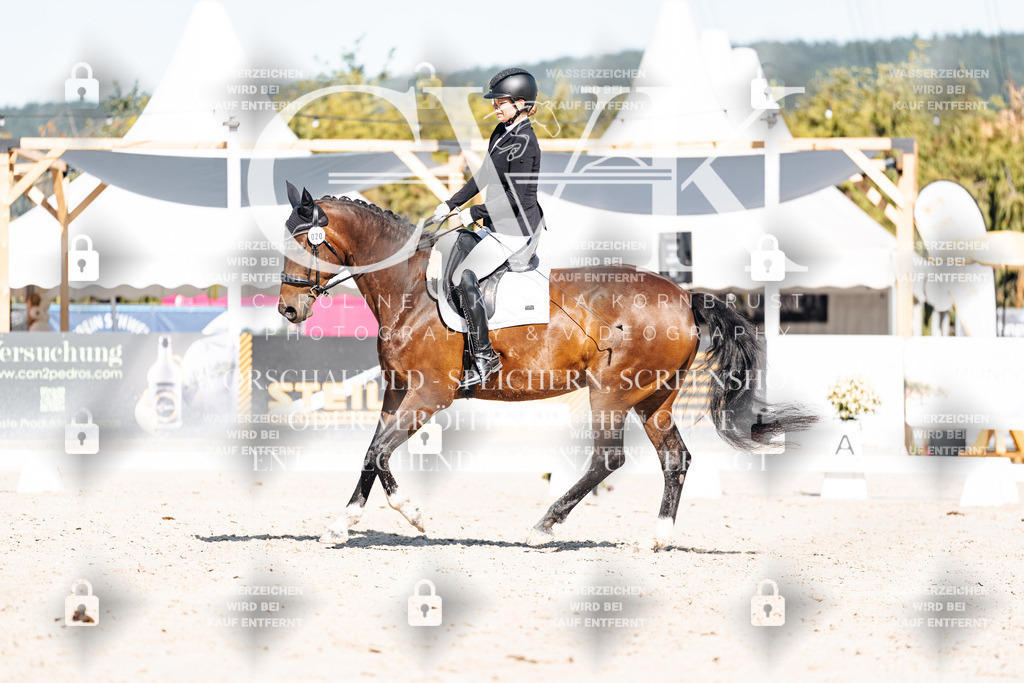 CK907980 | Turnierfotografie Pferdefotografie Trier Rheinland-Pfalz Pferdesport Reitsport Tierfotografie Sportfotografie Pferdevideo Pferdevideografie Equestrianvideography equestrianphotography  - Realisiert mit Pictrs.com