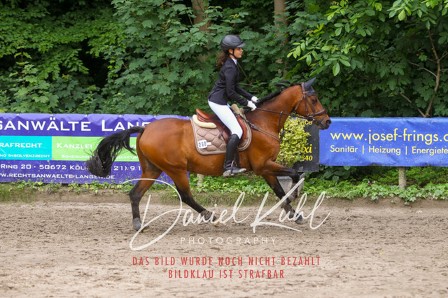 DKP45087 | Turnierfotos kaufen im Webshop von Daniel Kuhl Photography – entdecke professionelle Reitsportfotos aus Turnieren & Events. Hochwertige Turnierbilder online bestellen & sichern. Jetzt Fotos von Reitsportturnieren kaufen!