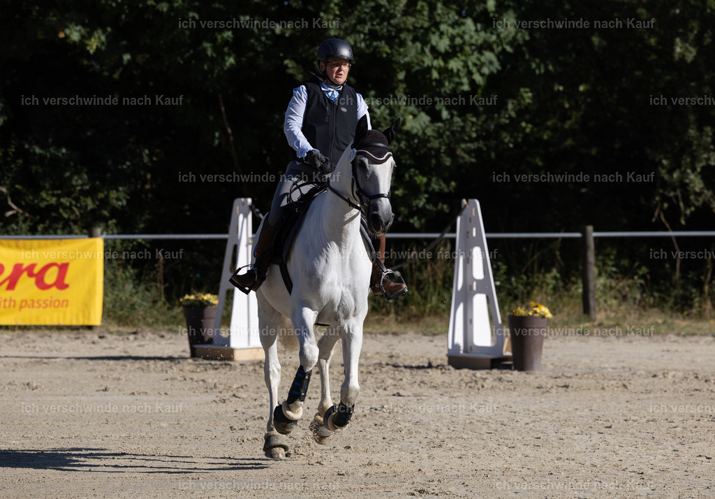 WL_Speed_50_KerstinBernhardt-10 | working equitationturnier fotograf videograf stoibphotography marixx film working equitation deutschland reitsport turnierfotografie eventfotografie equestrian events