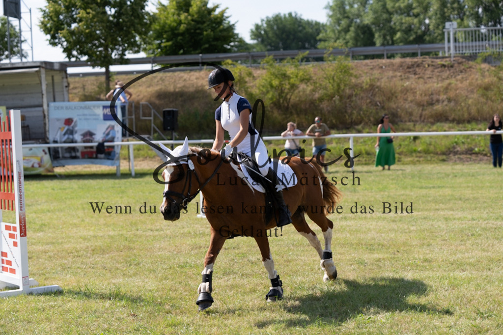 A7V00500 | Turnier/Reitfotograf