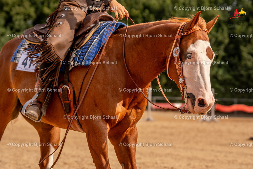LMS05596 | BS-foto