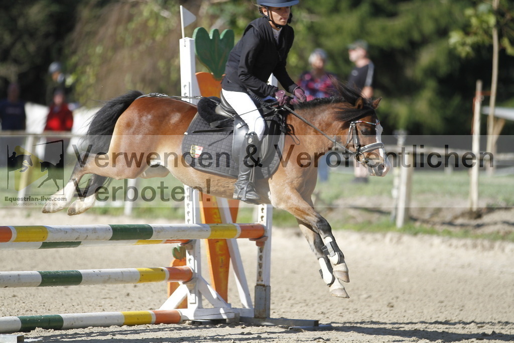 _MG_4252 | equestrian-live-com