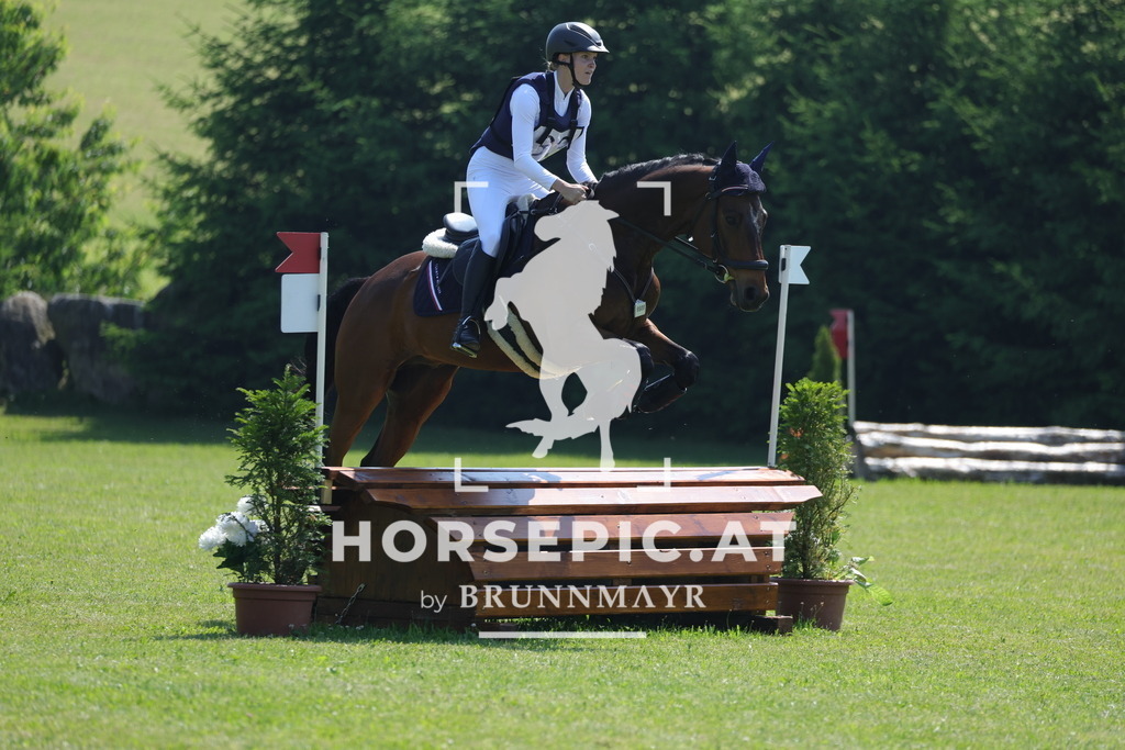 0P6A7848 | Willkommen bei Brunnmayr - Design & Fotografie – Ihrem Spezialisten für Reitturniere und Pferdeveranstaltungen in Oberösterreich, Salzburg und Bayern! Seit über 17 Jahren sind wir leidenschaftlich dabei.