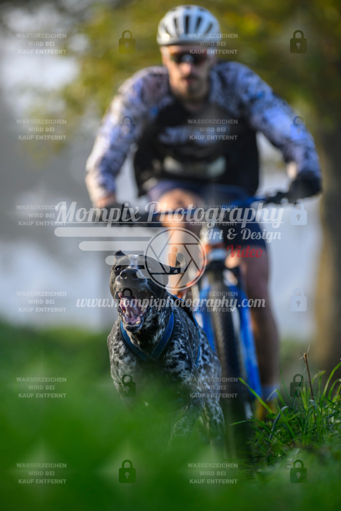 MompixPhotography_20TSB_E3_Bike-16 | PayLife