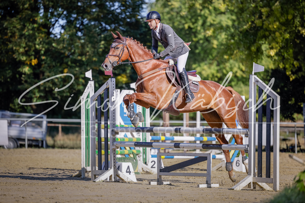 20250906-_3LI3146 | Tierfotografie Pferde, Hunde, Katzen, Haustiere.
Turnierfotografie Reitturniere, Reiten, Springreiten, Dressur in Hanau, dem Main-Kinzig-Kreis und dem Rhein-Main- Gebiet um Frankfurt