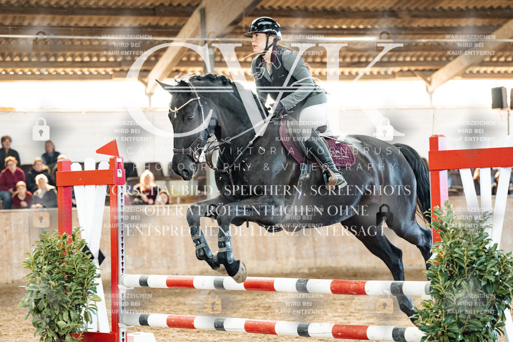 CK904702 | Turnierfotografie Pferdefotografie Trier Rheinland-Pfalz Pferdesport Reitsport Tierfotografie Sportfotografie Pferdevideo Pferdevideografie Equestrianvideography equestrianphotography  - Realized with Pictrs.com
