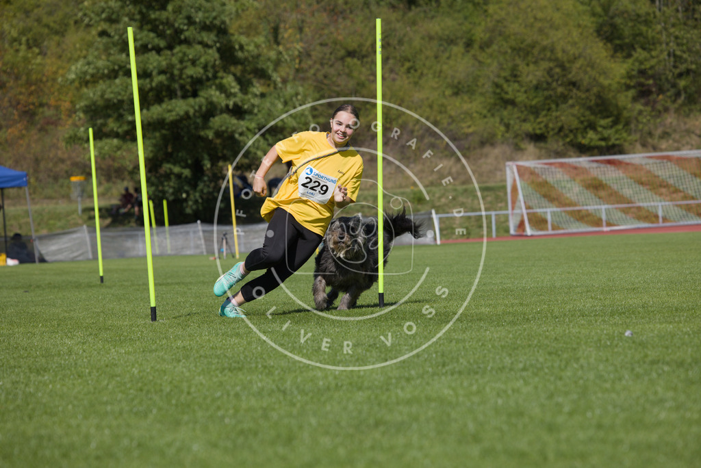 0L8A7236 | Hundefotografie, Tierfotograf, Pfotenfotografie, Fotoshooting Hund, Hunde Portrait, Hundesport, Hundeportraits, Heideshooting, Hunde, Sportfotograf, Hundefotograf, Turnierhundsport, THS,  - Realisiert mit Pictrs.com