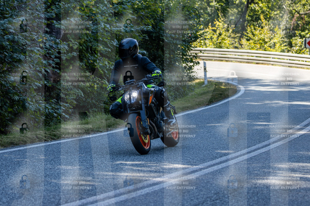 IMG_3265 | jrph - Realisiert mit Pictrs.com