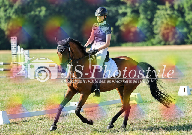 20260628_14a_VA_Dressur-150 | JS-Photostyle - Sport-/Portrait- & Eventfotografie