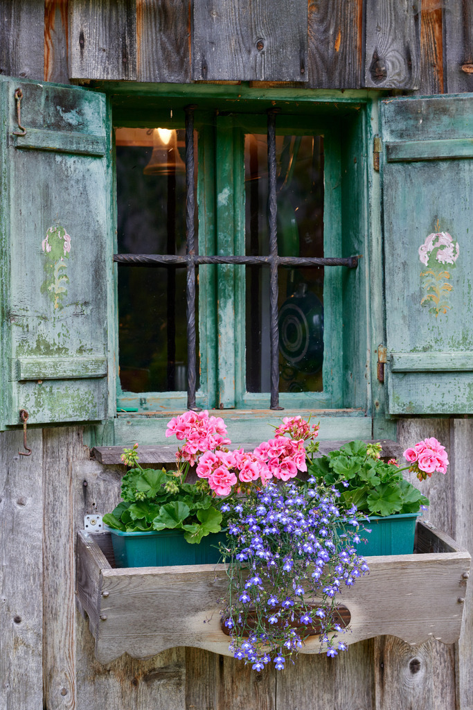 Blumenschmuck vor dem Fenster | Gnanitz, Austria - June 27, 2017: Blumenschmuck vor dem Fenster. - Realisiert mit Pictrs.com