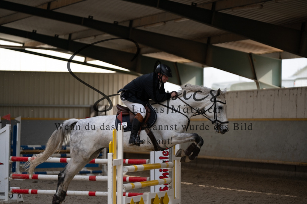 A7V08414 | Pferdefotograf