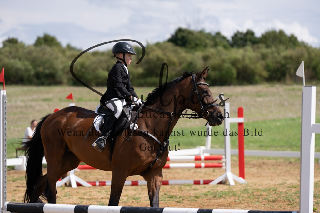 A7V03149 | Pferdefotograf