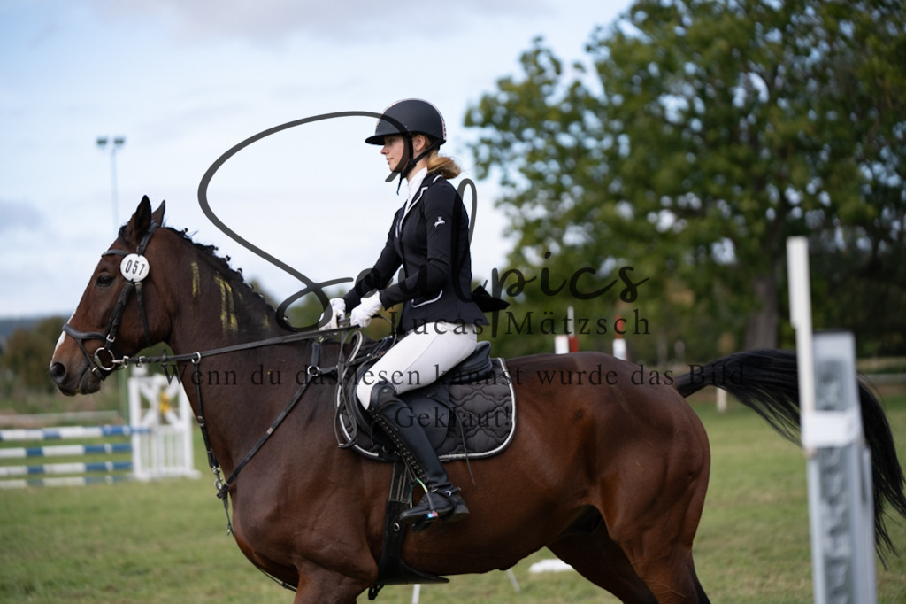 A7V06741 | Pferdefotograf