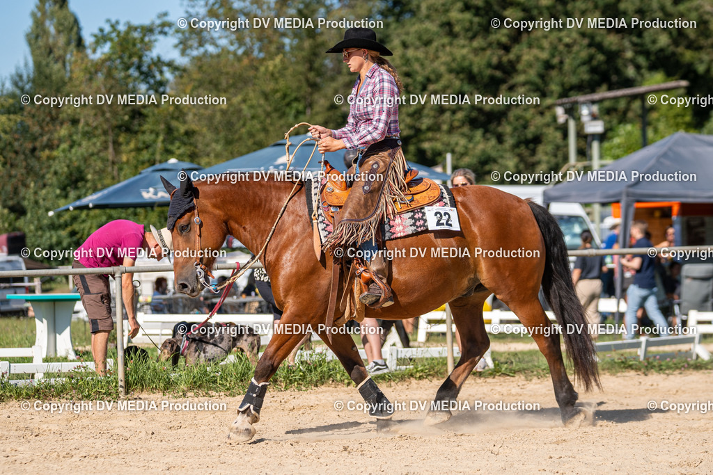 LM Heiligenwald Tag 1-2358 | dv-media-shop - Realisiert mit Pictrs.com