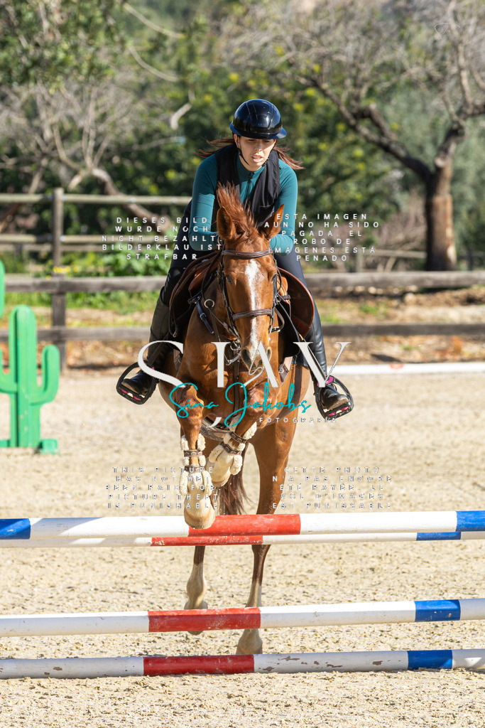 IMG_3640 | s-jay-photography - Realisiert mit Pictrs.com