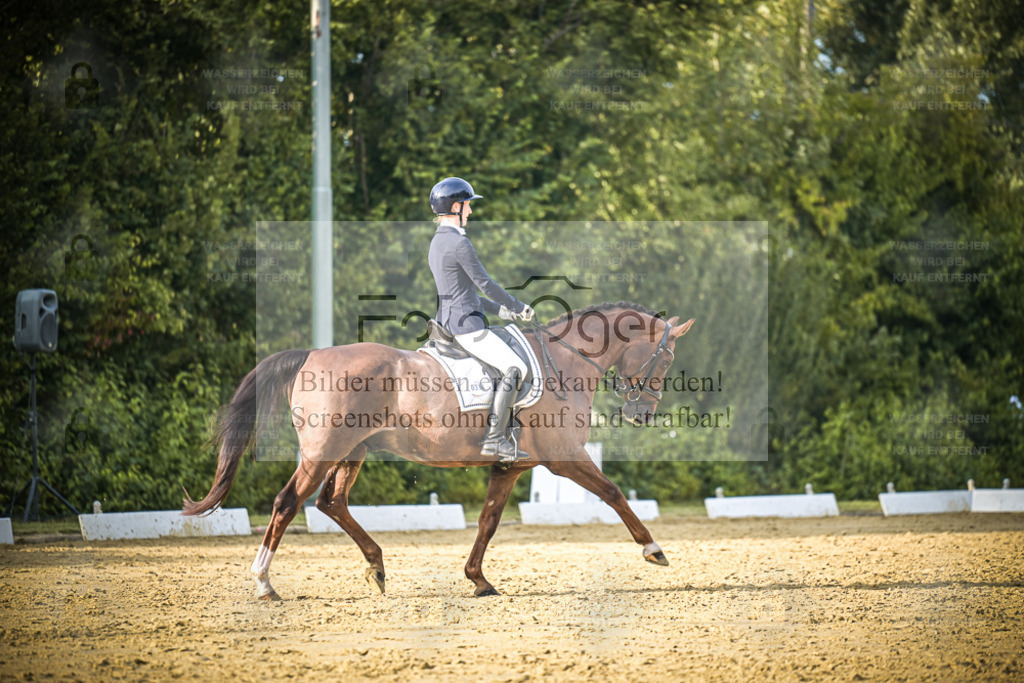 DOS_1261 | Entdecke hochwertige Reitturnierfotos von Foto Oger. Professionell, emotional und authentisch – jetzt Lieblingsmomente im Shop bestellen. - Realisiert mit Pictrs.com