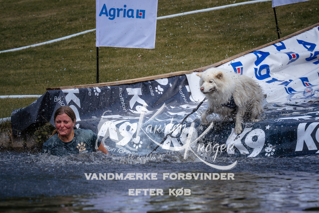 _ZZ904920900 | kk-dogfotos