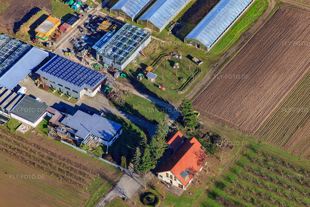 Hofladen Rainer & Sandra Kästel GbR https://www.gemuesebau-kaestel.de/ | Luftbild: Hofladen Rainer & Sandra Kästel GbR https://www.gemuesebau-kaestel.de/ im Ortsteil Geinsheim in Neustadt im Bundesland Rheinland-Pfalz in Deutschland. Foto: IMG_36942.jpg vom 16.01.2011 durch Werner Riehm/FLY-FOTO.de - Realisiert mit Pictrs.com