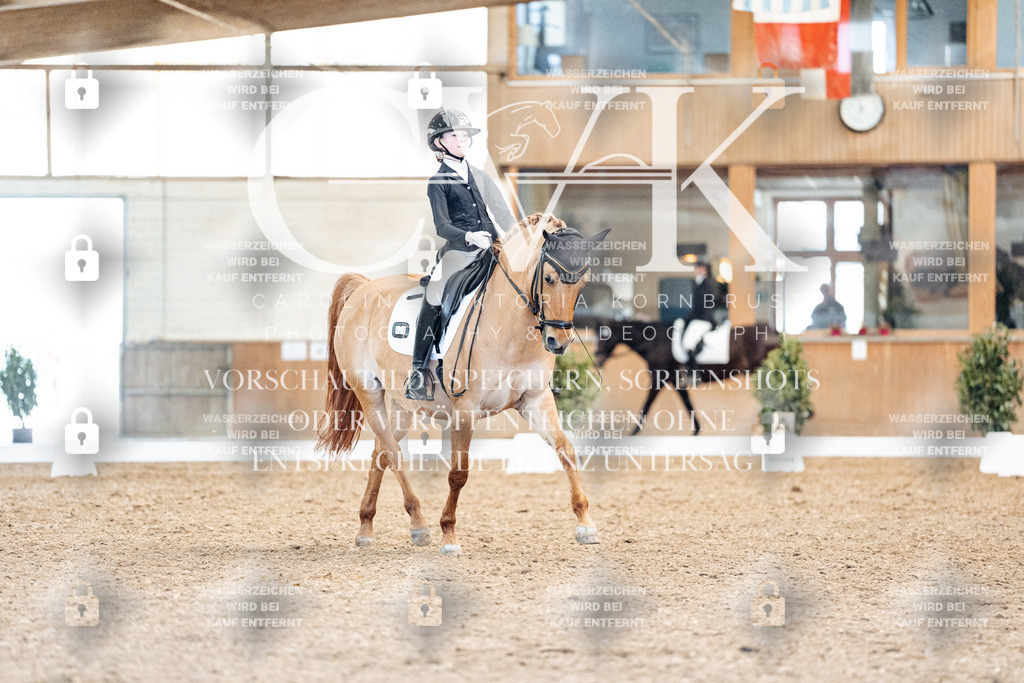 CK909646 | Turnierfotografie Pferdefotografie Trier Rheinland-Pfalz Pferdesport Reitsport Tierfotografie Sportfotografie Pferdevideo Pferdevideografie Equestrianvideography equestrianphotography  - Realisiert mit Pictrs.com