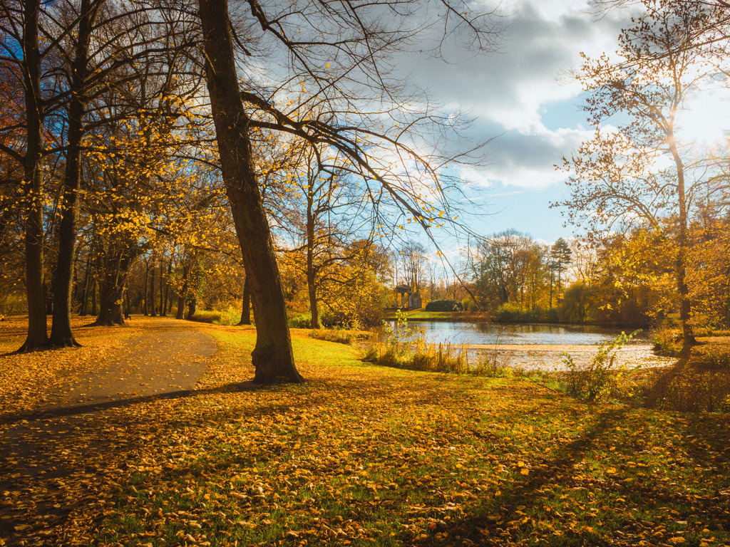 FriederikeFuchs-Bürgerpark-8 | Entdecke exklusive Fotokunst aus Braunschweig: Bildband, Leinwände, Postkarten, Kalender, digitale Downloads & Bildlizenzen. Jetzt im offiziellen Beautiful Braunschweig Shop! - Realisiert mit Pictrs.com
