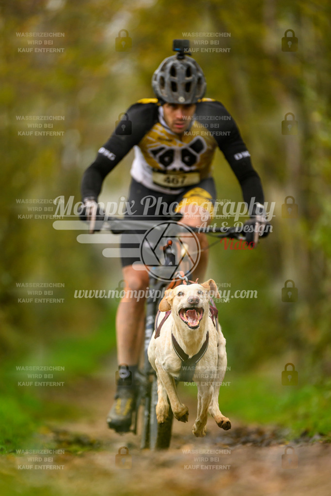 MompixPhotography_20TSB_E6_Bike-20 | PayLife