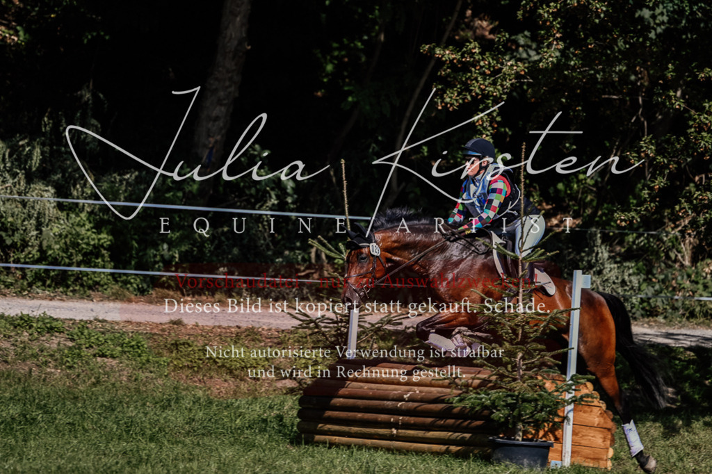 DSC_1548 | Pferde- und Turnierfotografie in Westsachsen. Pferdeportraits, Auftragszeichnungen und intuitive Kunst.