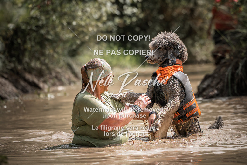 nelerasche_Hoope2026_So1130-1200_40 | nelerasche
