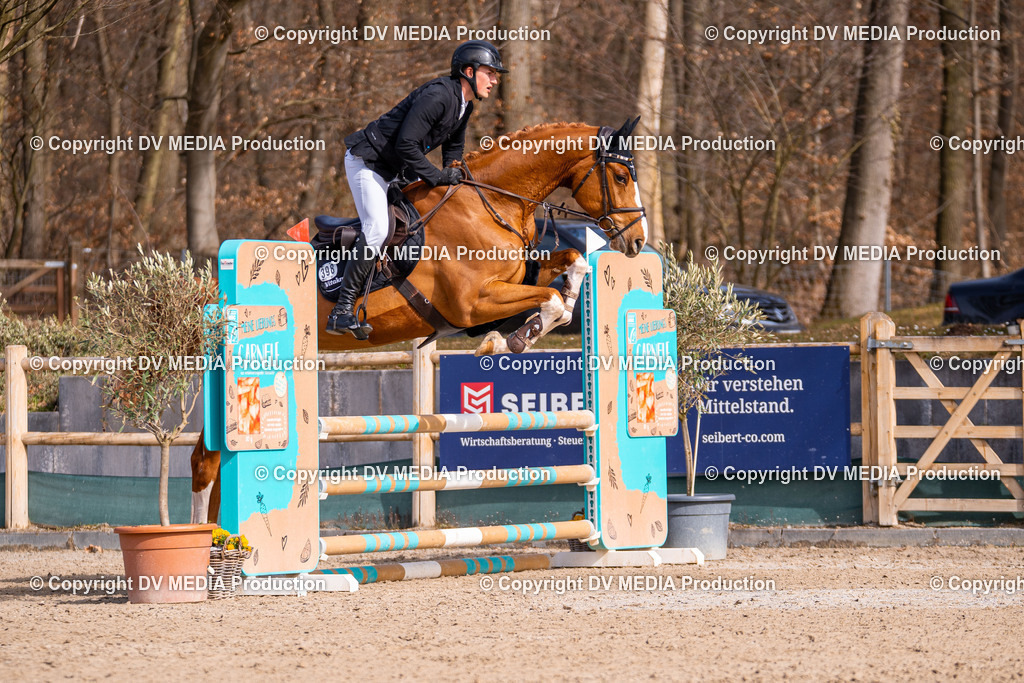 Kranichstein Tag 1-534 | dv-media-shop - Realisiert mit Pictrs.com