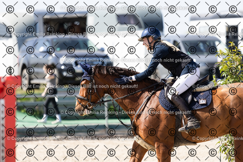 CL5A5703-2 | Emilia Reinking Fotografie - Realisiert mit Pictrs.com