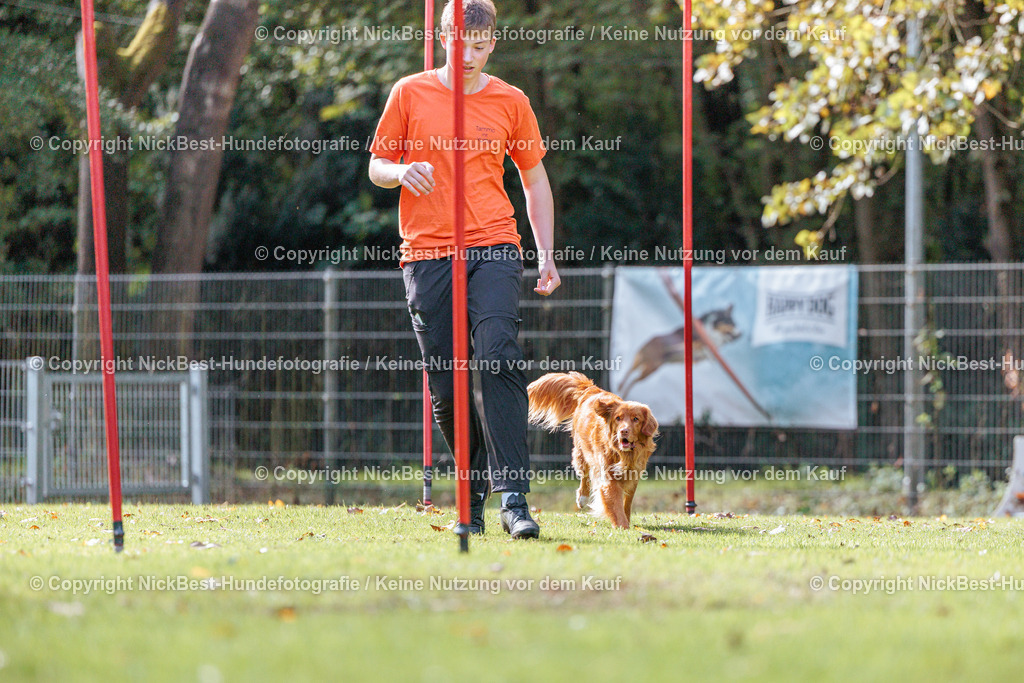THS-HSV-Blumenthal-2026-Nickbest-Hundefotografie-3002 | Dein Hund! Dein Moment! Deine Erinnerungen! Hundefotografie in Bremen Blumenthal. Ich fange die besonderen Momente deines Vierbeiners ein – ob Indoor mit Blitzanlage oder in der freien Natur. Sicher dir dein Moment und dein Termin für eure Erinnerungen.