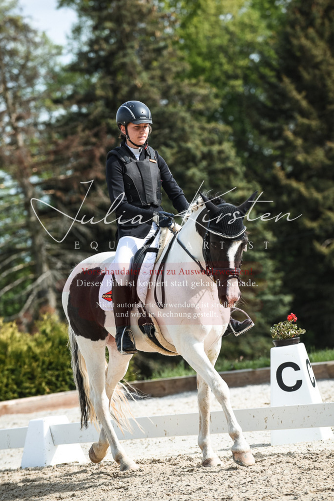 20230518_JK-Röhrsdorf-12-0180 | Pferde- und Turnierfotografie in Westsachsen. Pferdeportraits, Auftragszeichnungen und intuitive Kunst.