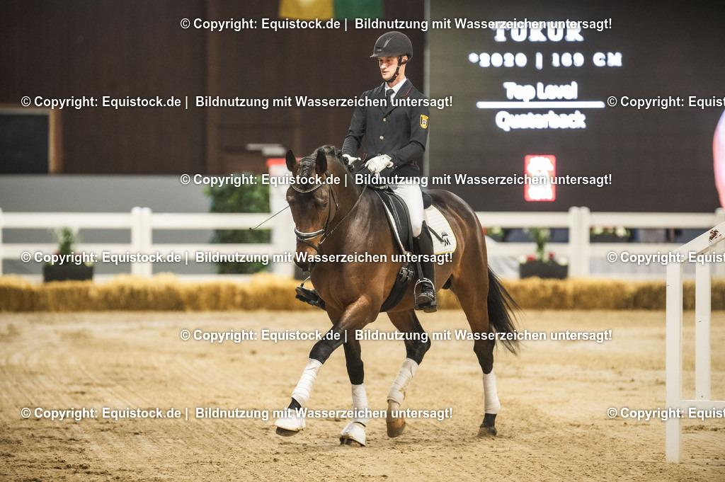 20240302_Hengstvorstellung_Marbach_TOMsPiC_0152-2 | equistock