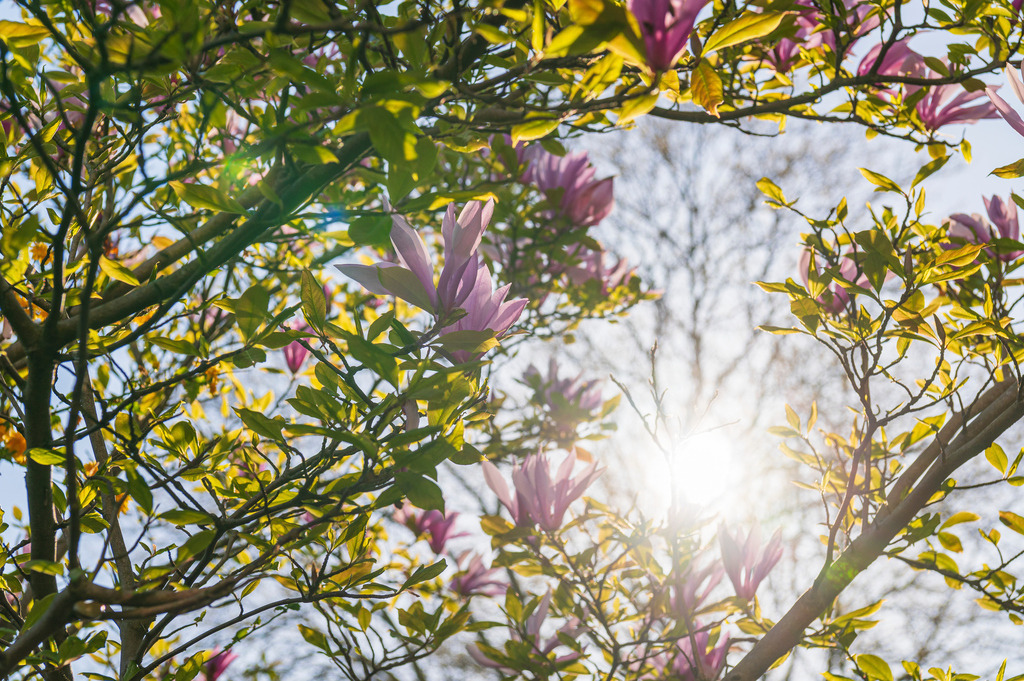 2023_04_30_HH-OEVELGONNE_MCP8100 | Hochwertig gedruckte Fotografien für die Wand, als Kalender und zum Verschenken. Hamburg & Norddeutschland und überall wo ich mit der Kamera unterwegs war.