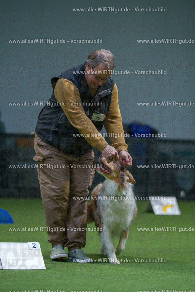 7R500523 | Professionelle Tierfotografie in Mönchengladbach von Daniel Wirth (allesWIRTHgut). Liebevolle & natürliche Bilder von Hunden & Katzen für unvergessliche Erinnerungen.