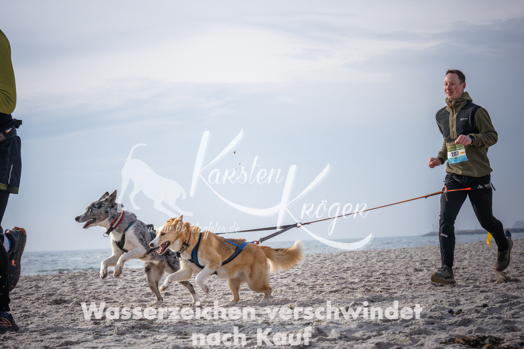 1017_ZZ94665 | kk-dogfotos